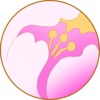 花属性